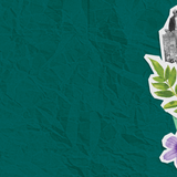 Fall Plant Sales