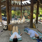 Fall Sound Bath at the Arboretum