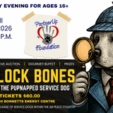 Sherlock Bones | The Case of the Pupnapped Service Dog