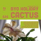 BYO Holiday Cactus