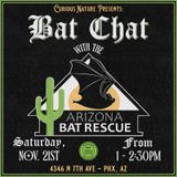Bat Chat