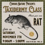 Taxidermy Rat Class