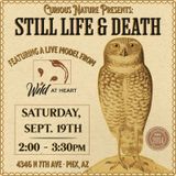 Still Life and Death Featuring Wild at Heart