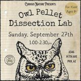 Owl Pellet Dissection Lab