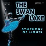 The Swan Lake: Symphony of Lights