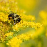 Climate Week Wonder Walk: Strategies for Resilience