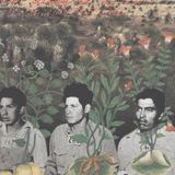 Archive Room: Amalia Mesa-Bains