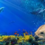 Oceans 3D: Our Blue Planet