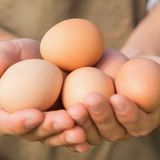 Aquidneck Growers Market