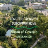 Reclaiming Nature & Celebrating Saint Francis
