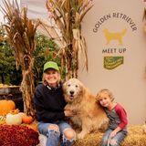 Golden Retriever Meetup