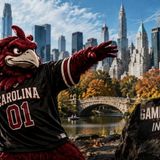 Gamecocks vs Kentucky