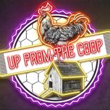 Up from the Coop
