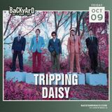 Tripping Daisy