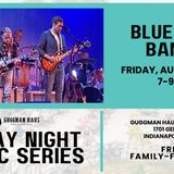 Friday Night Music Series: Bluesky Band