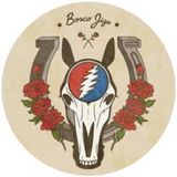 Band: Bosco Jigs