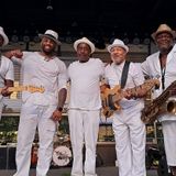 Mojo Blues Cats