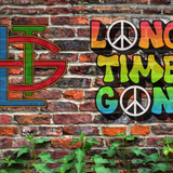 Long Time Gone