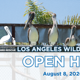 SoCal Open House