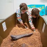 Fossil Finders