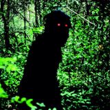 Uncle Boonmee Who Can Recall His Past Lives