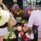 Downtown Farmers Market - Wednesdays