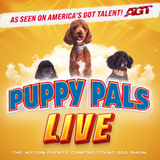 Puppy Pals Live - The Action-Packed Comedic Stunt Dog Show
