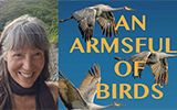 Cara Benson in Conversation with Janet McNally