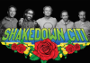 Shakedown Citi