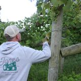 Educational Vineyard Talk and Tasting