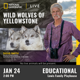 National Geographic Live Wild Wolves of Yellowstone