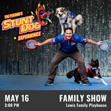 The Perondi's Stunt Dog Experience