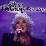 Ann Wilson: The Voice of Heart & Tripsitter