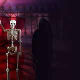 Haunted Illusions starring David Caserta
