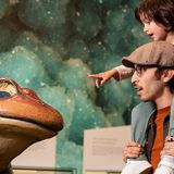 Wingin' It: Up Close with Real Raptors