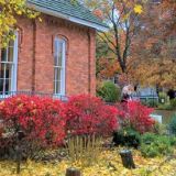 Free Fall Open House & Pet Adoption Day