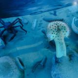 Mysteries from the Deep: Exploring Underwater Archaeology