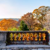 guided garden walk