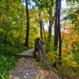 The Art of Noticing: A Mindful Birding Experience