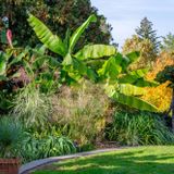 Garden Highlights Walk