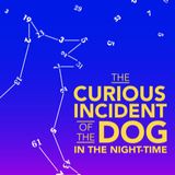 The Curious Incident of the Dog in the Night-Time