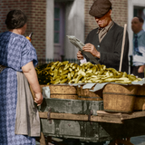 "The Pickled City: A Biography of New York Pickles"
