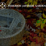 Landscape in Ikebana