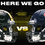 Pittsburgh Steelers vs. Houston Texans