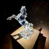 Wild Crystal