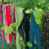 Tribal Rising Belly Dance Outdoor Classes