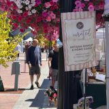 Albany Artisan Faire Market