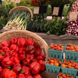 Farmers Market