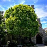 Recovery & Grace, a Meeting of All Recovery Anonymous