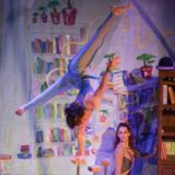Cirque Us Stories